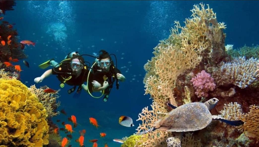 Elysian Hideaway Ξενοδοχείο Maafushi Εξωτερικό φωτογραφία